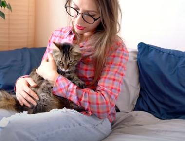 7 Best Cat Breeds for Busy Person