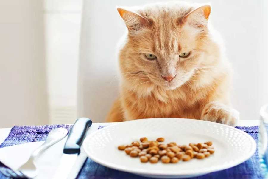 Other Important Tips