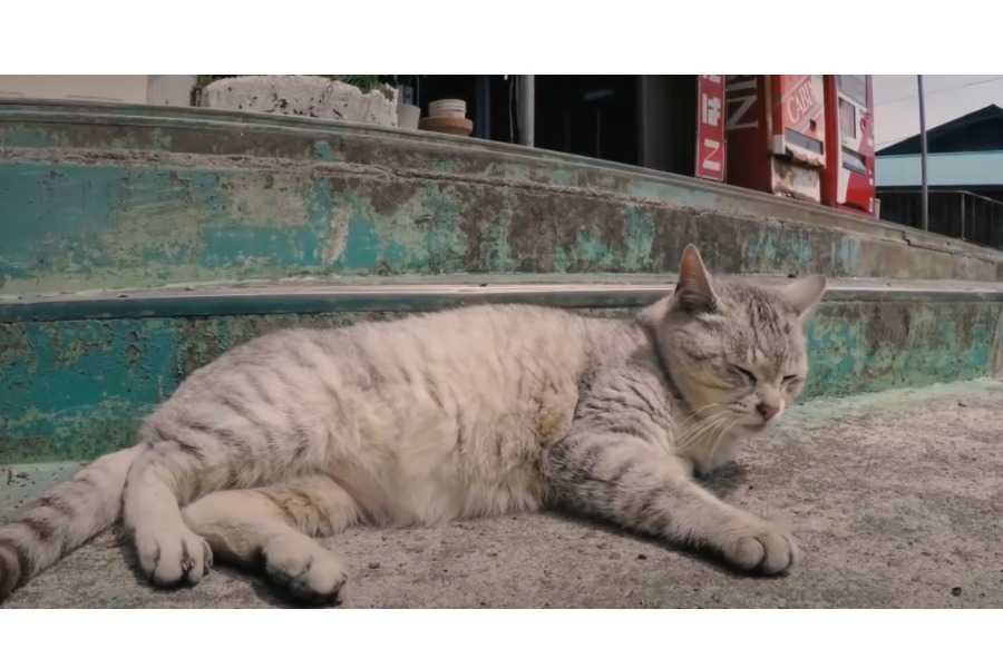 The Heat Period: An Overview