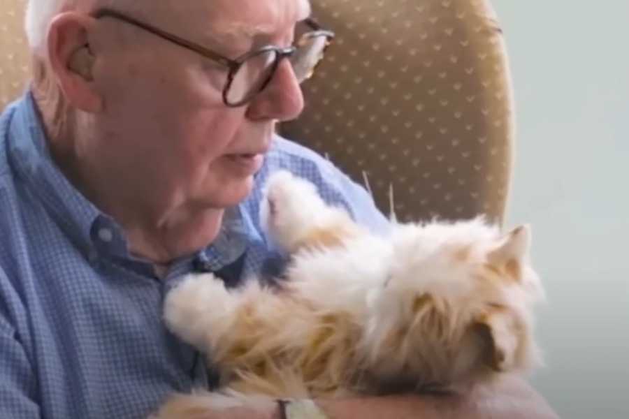 They Provide Quiet, Comforting Companionship