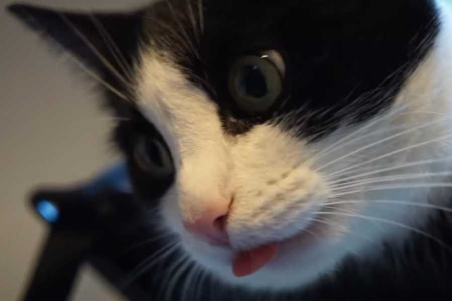 Expelling Food or Objects