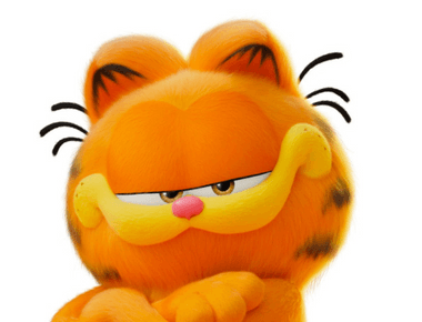 What Cat Breed Is Garfield? 13 Possibile Breeds