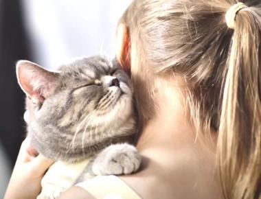 How and Why Cats Purr - Prepare to be Fascinated