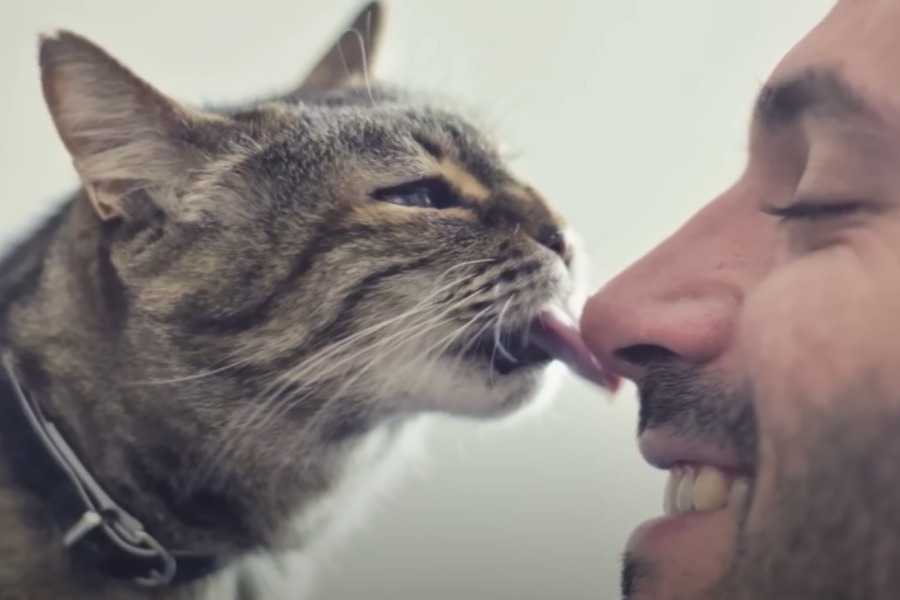 They Won't Slobber All Over You