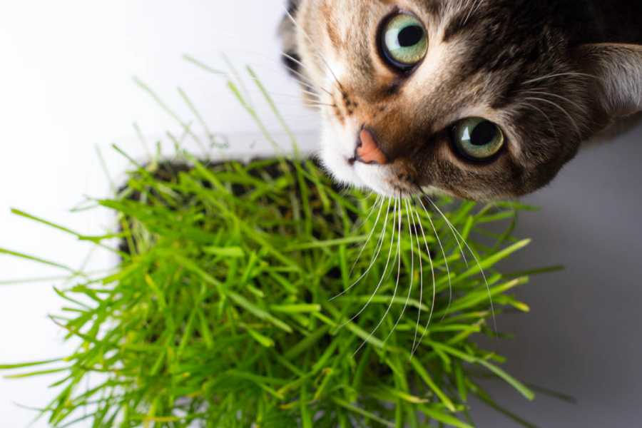 When to Be Concerned